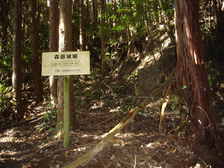 白栖城