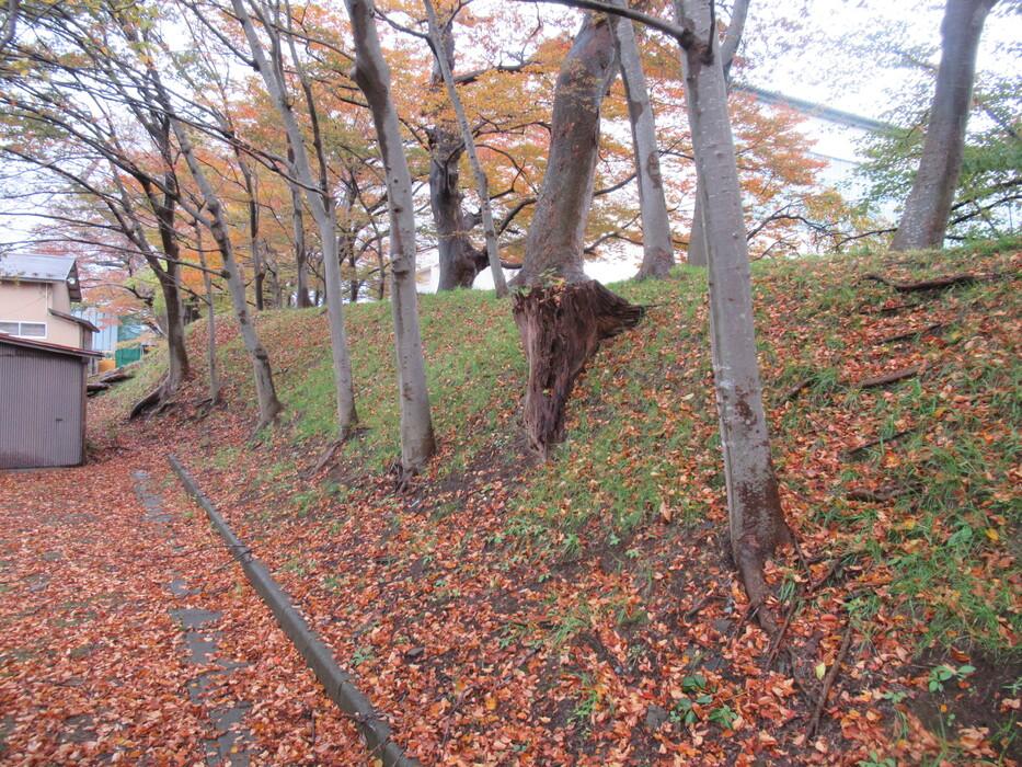 亀ヶ崎城