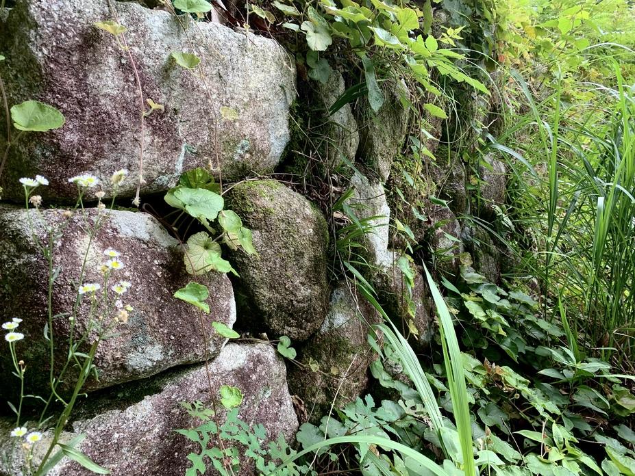 大野城