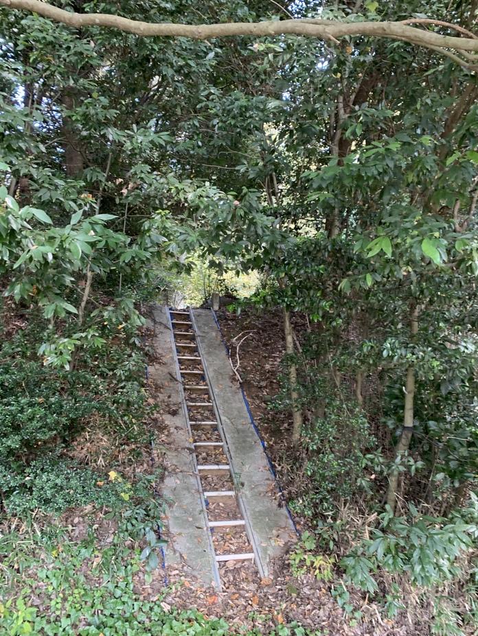 小森城
