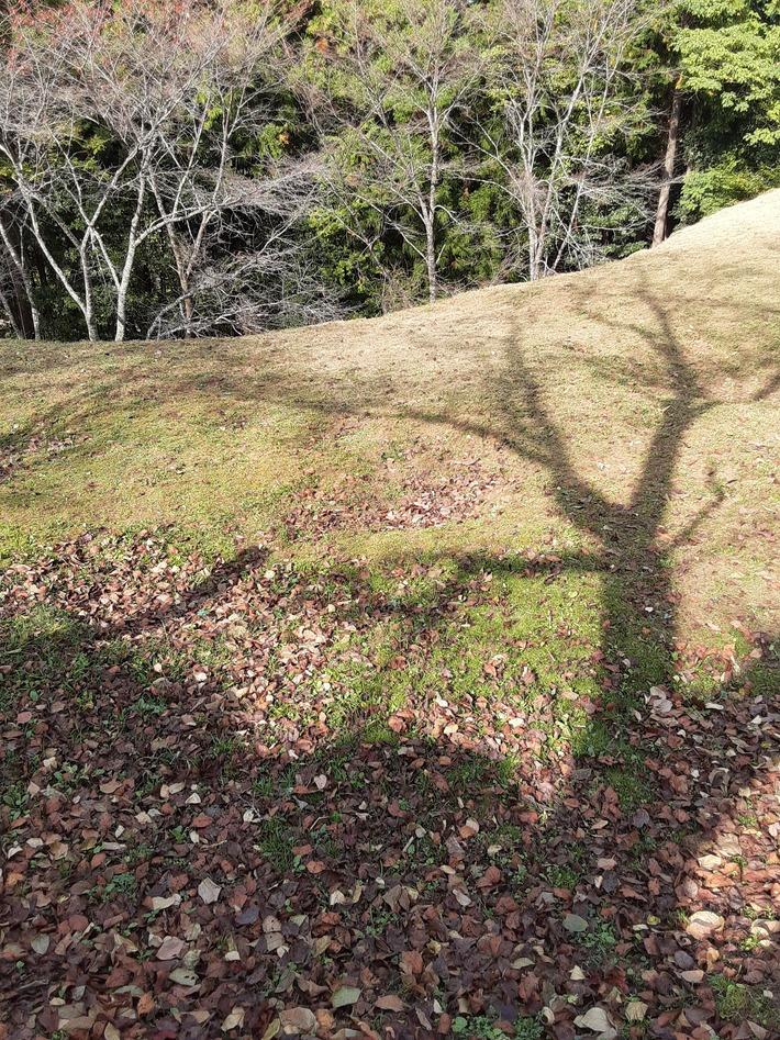 田峰城