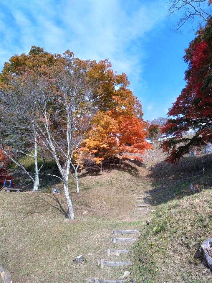 常盤城