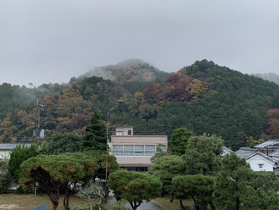 籾井城
