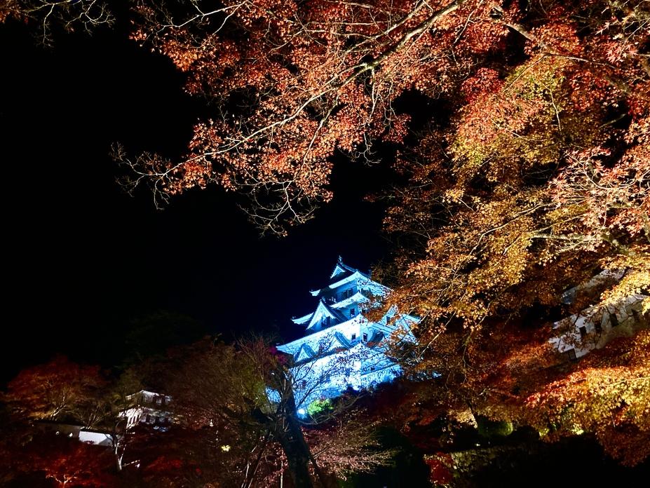 郡上八幡城