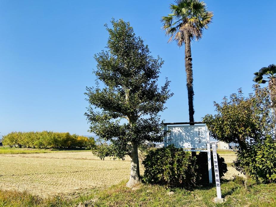 加賀野井城