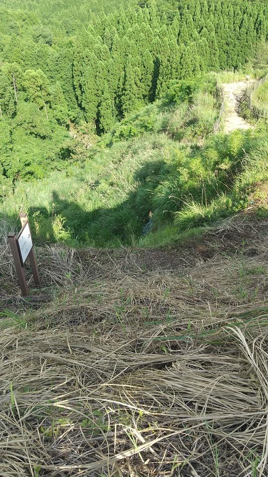 堅志田城