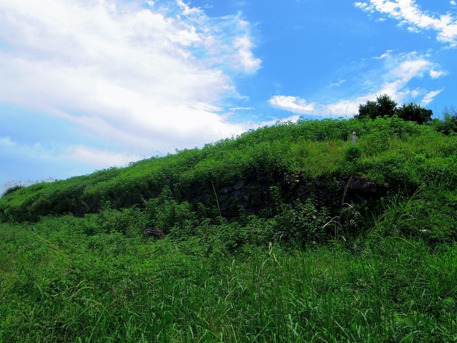 日野江城