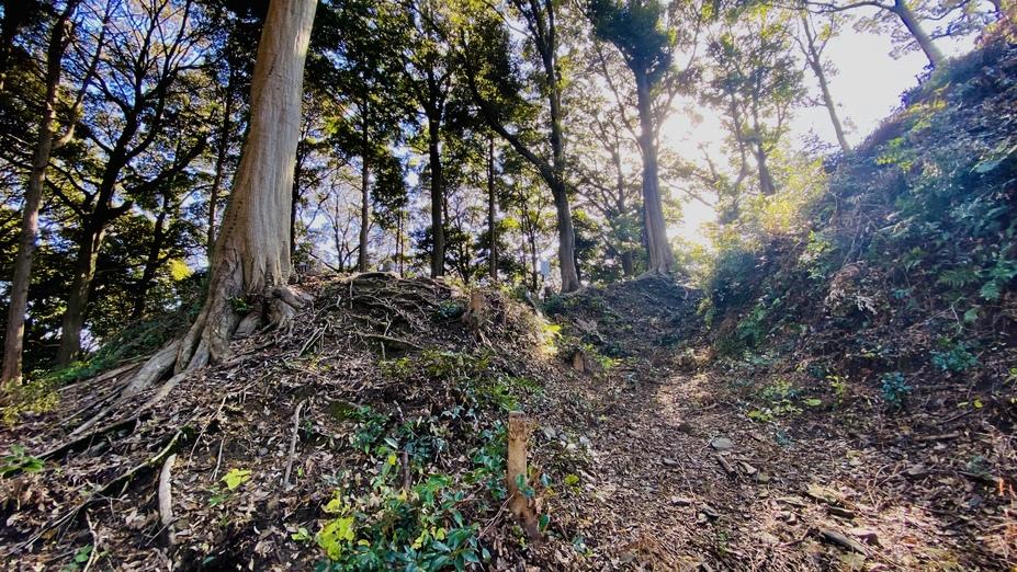 山中城