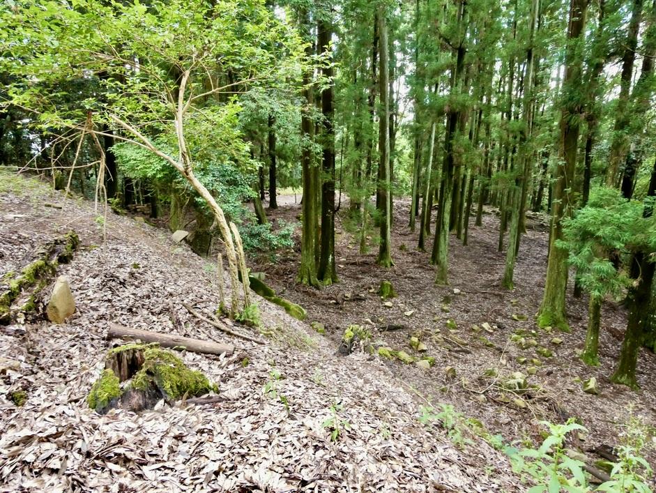 吉田郡山城