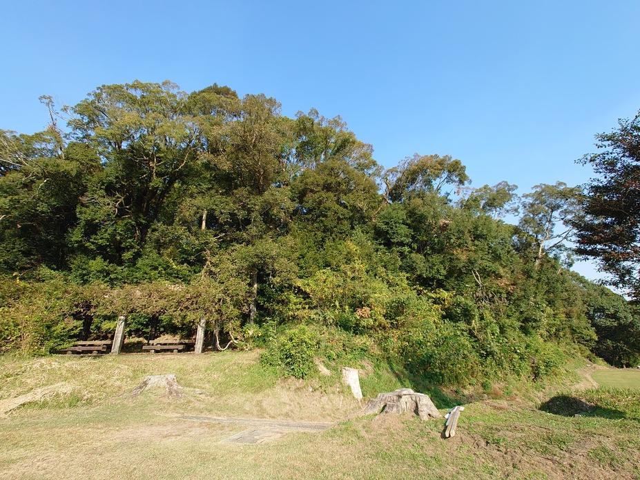 龍虎城