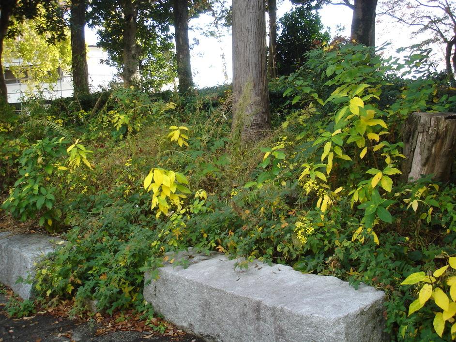 徳山城