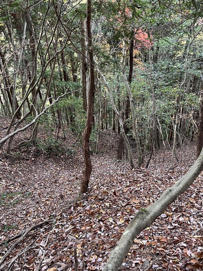 今宮城