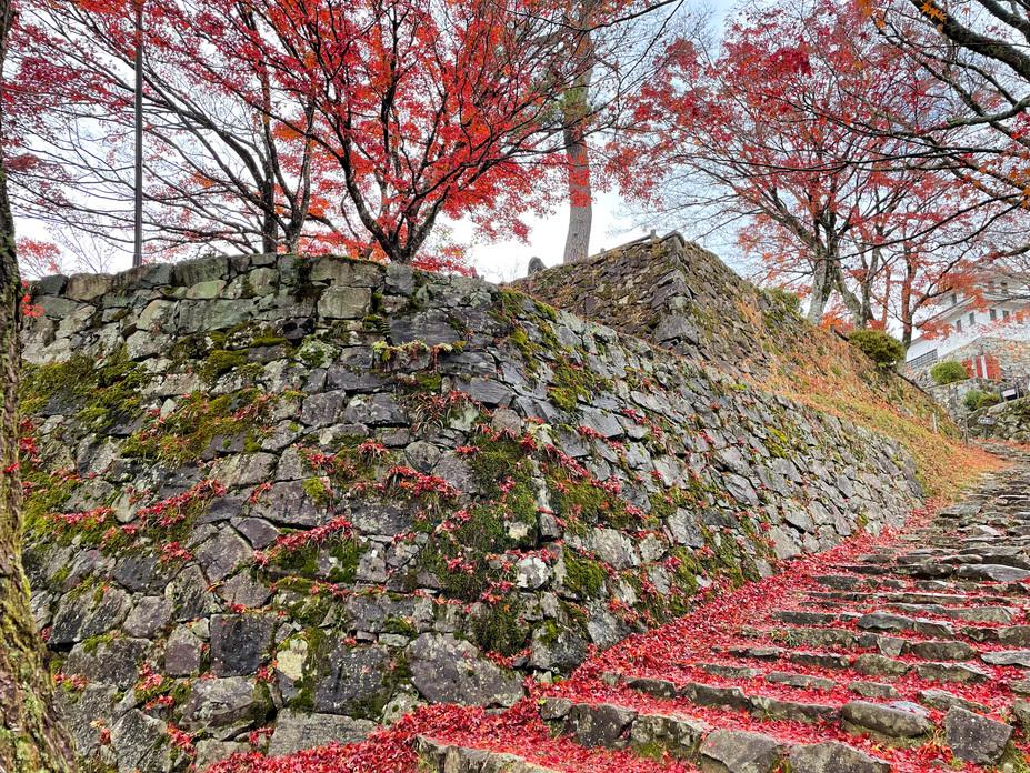 郡上八幡城