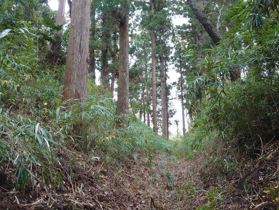 御茶屋御殿