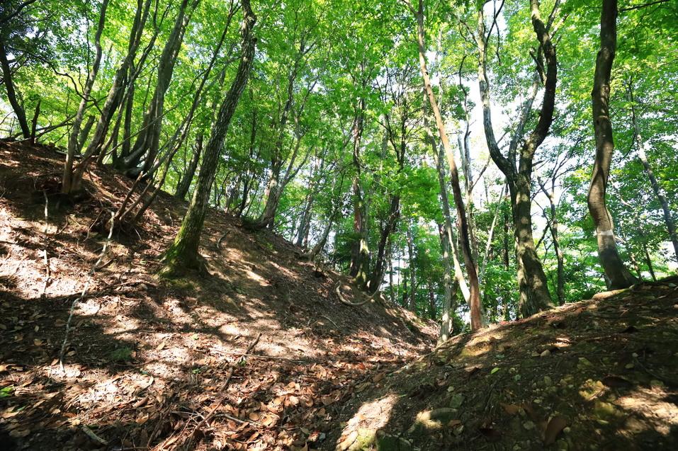新保山城