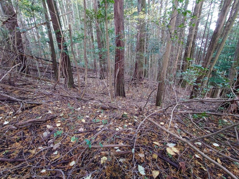 畑城