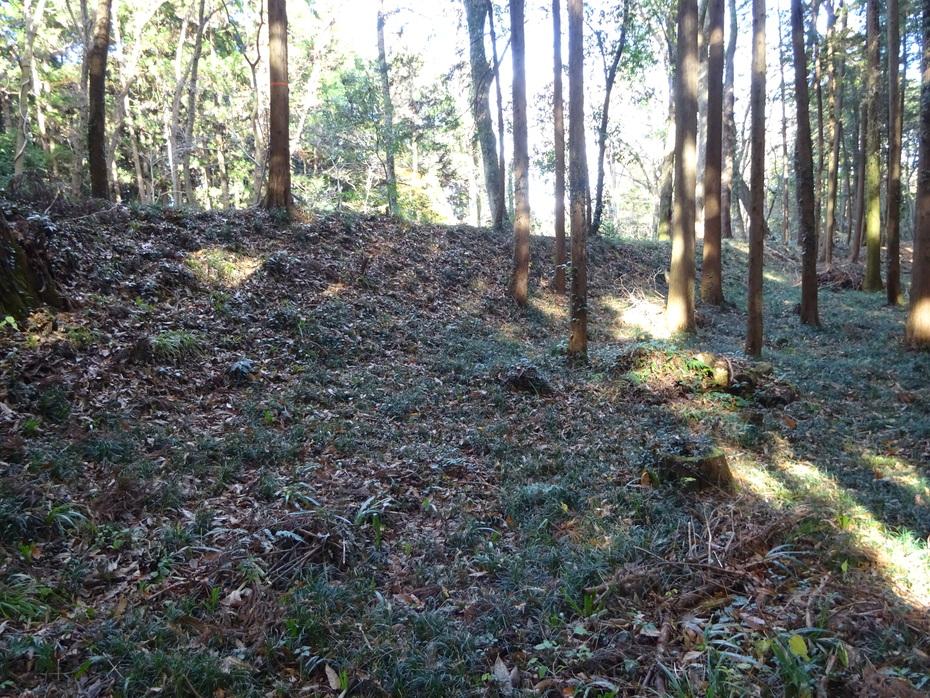 烏山城