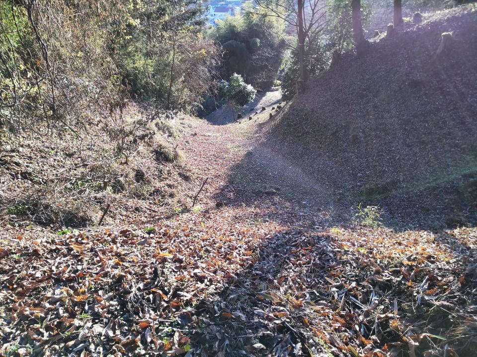 三芦城