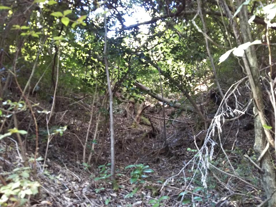 堂ノ庭城