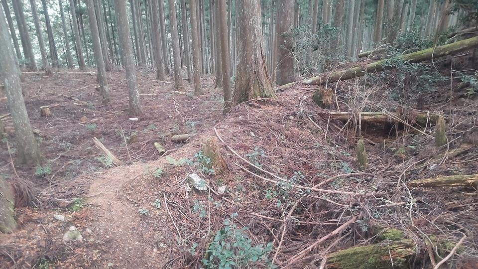小川城