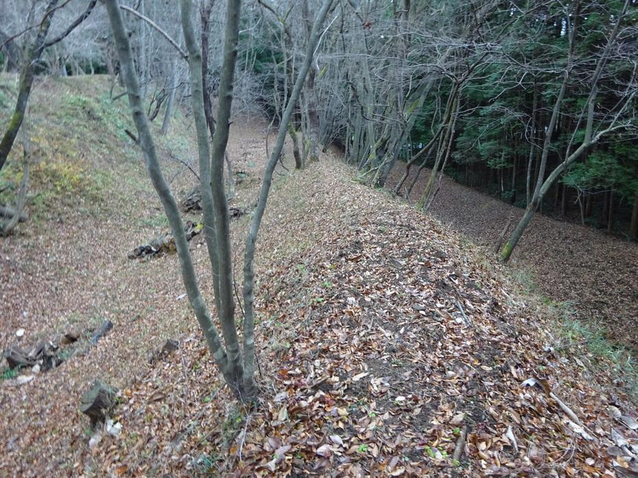 前川本城