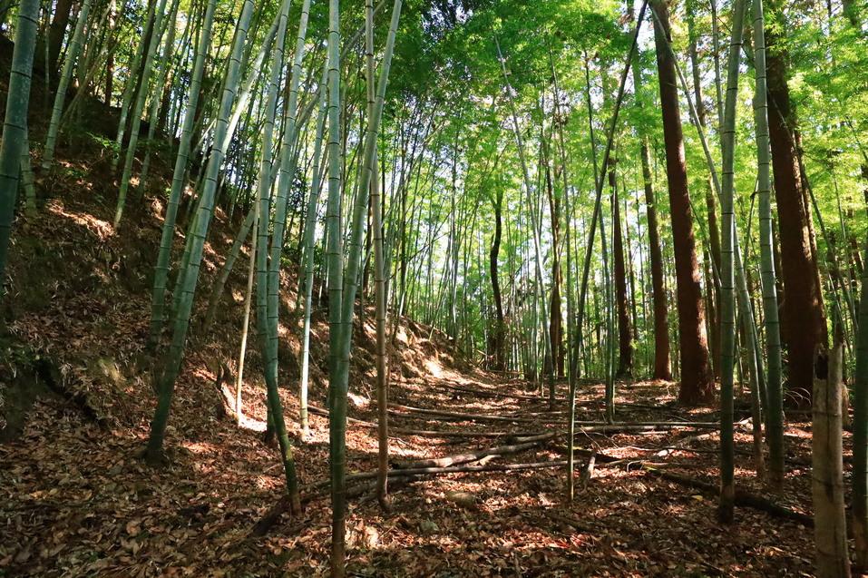 葛下城