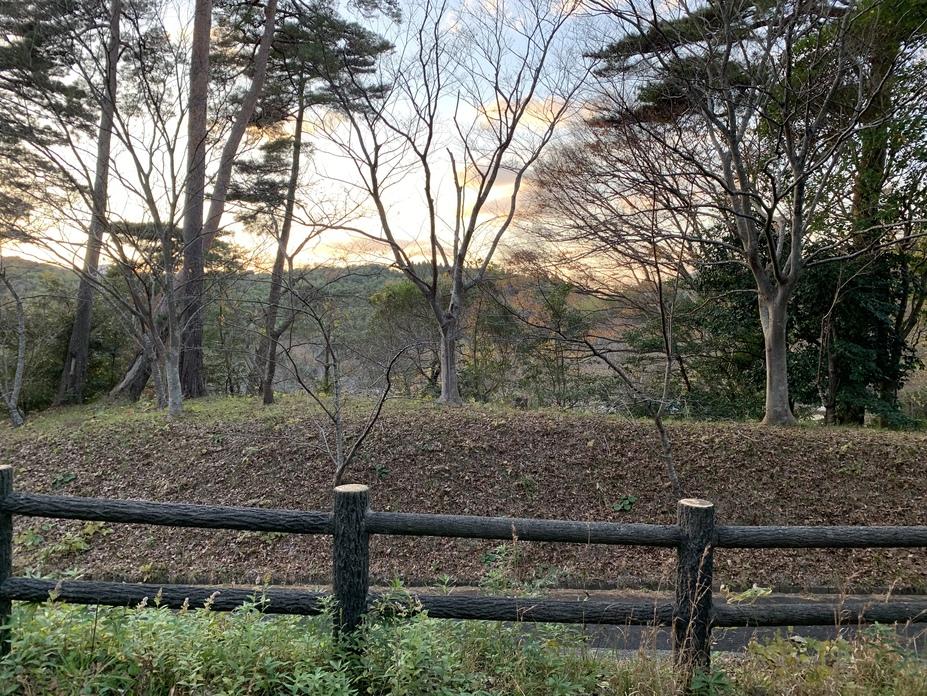 平田城