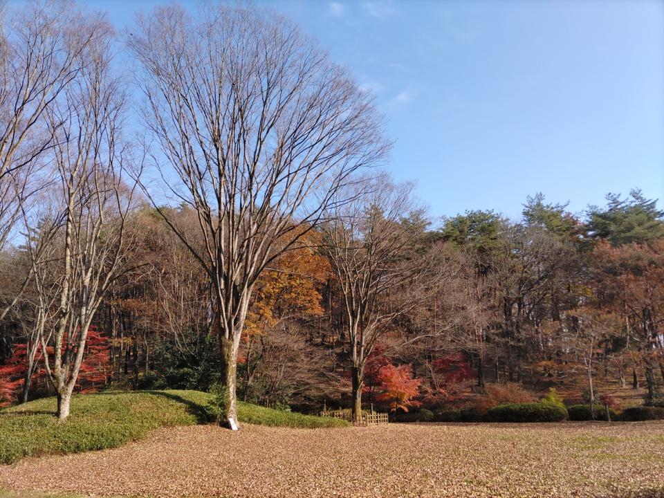 山田城