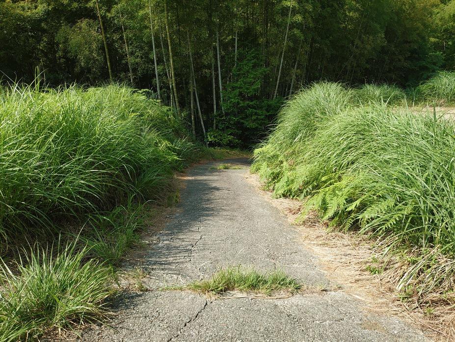 堅志田城