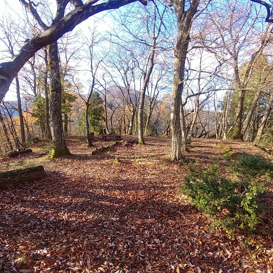 戌山城