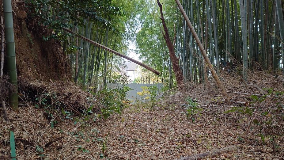 今井城