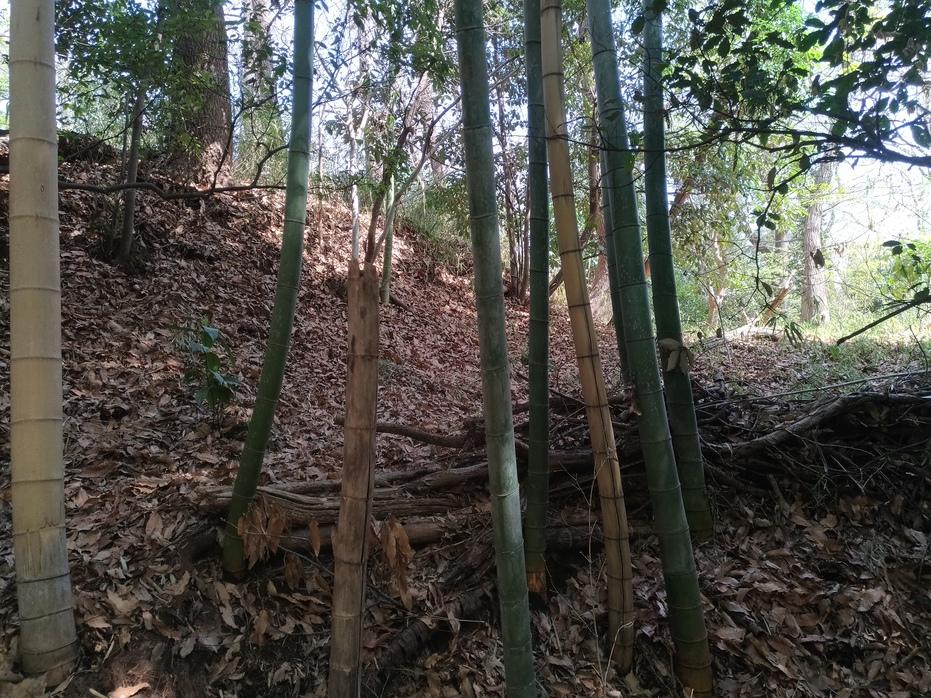 岡崎城