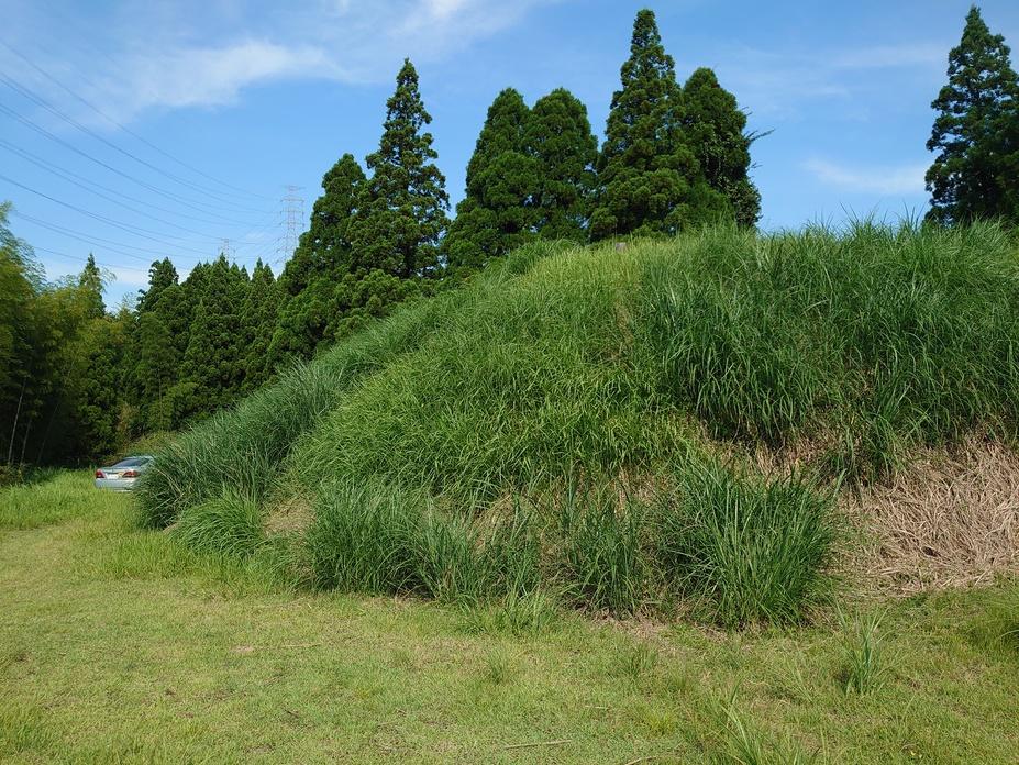 堅志田城