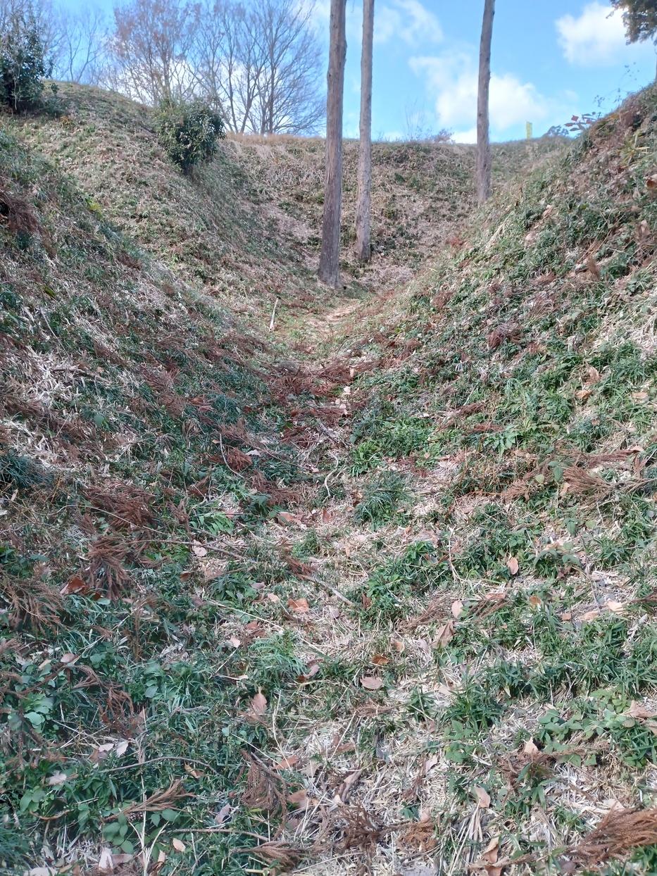 杉山城