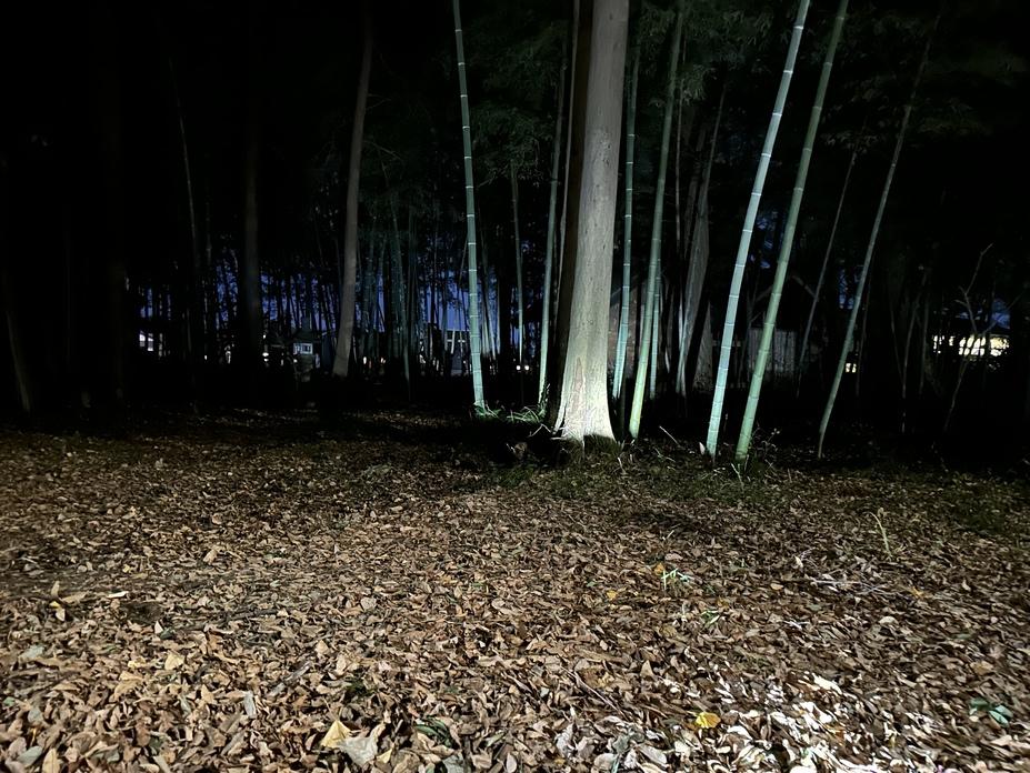 三田城