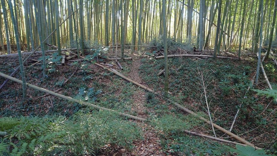 神宮寺城