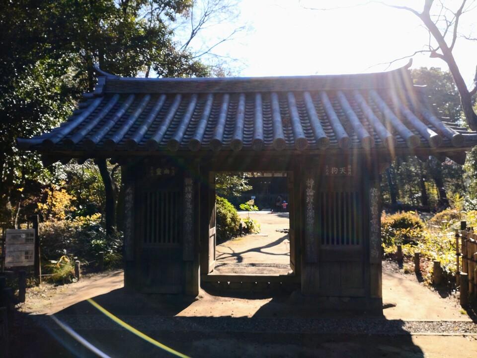 和田山