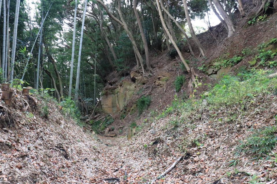 島崎城