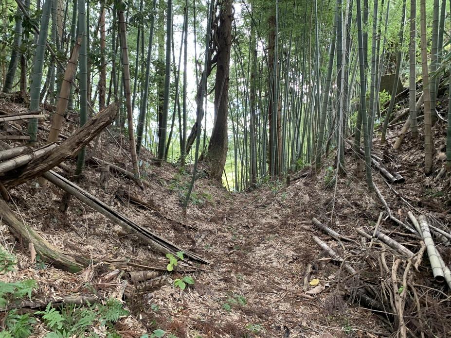 安田城