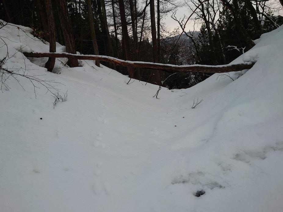 西馬音内城
