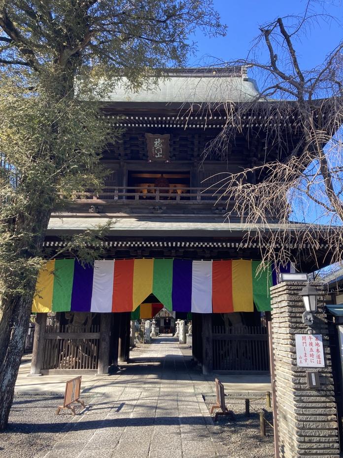 高安寺城