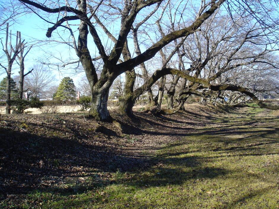 桜町陣屋