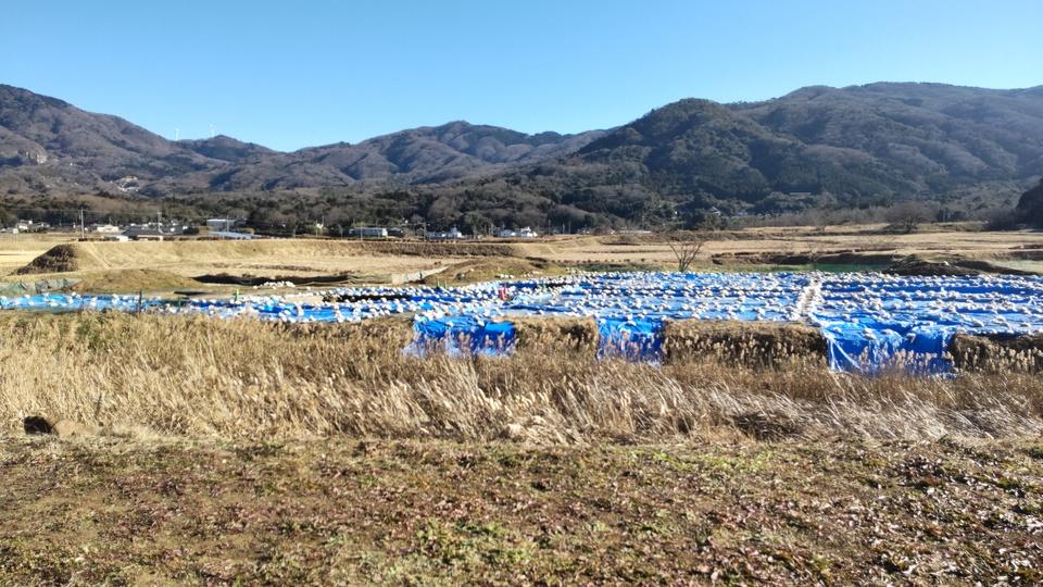 真壁城