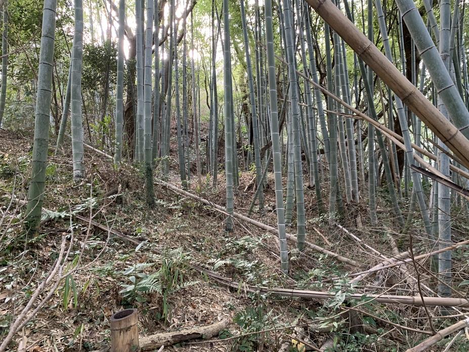 木津城