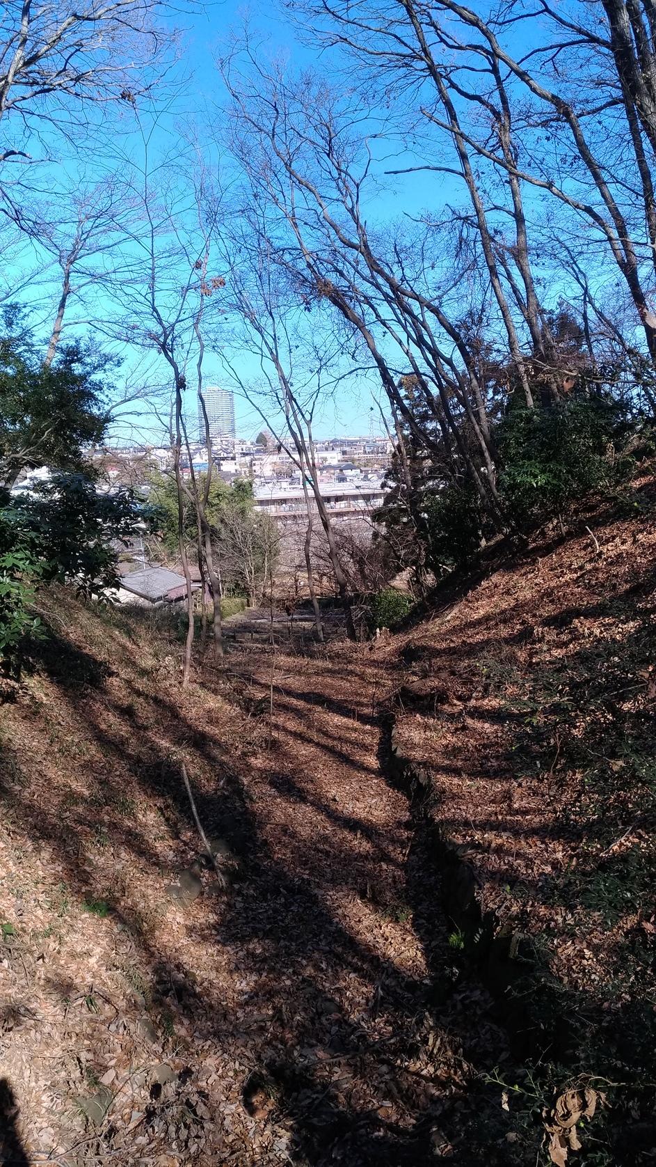 片倉城