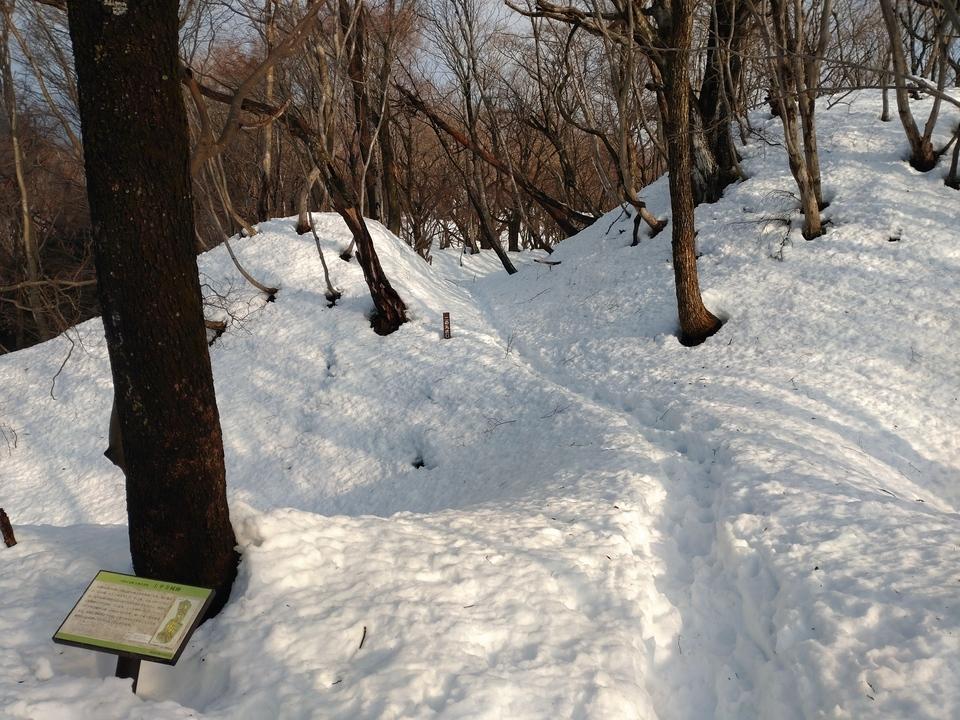 京極氏城館