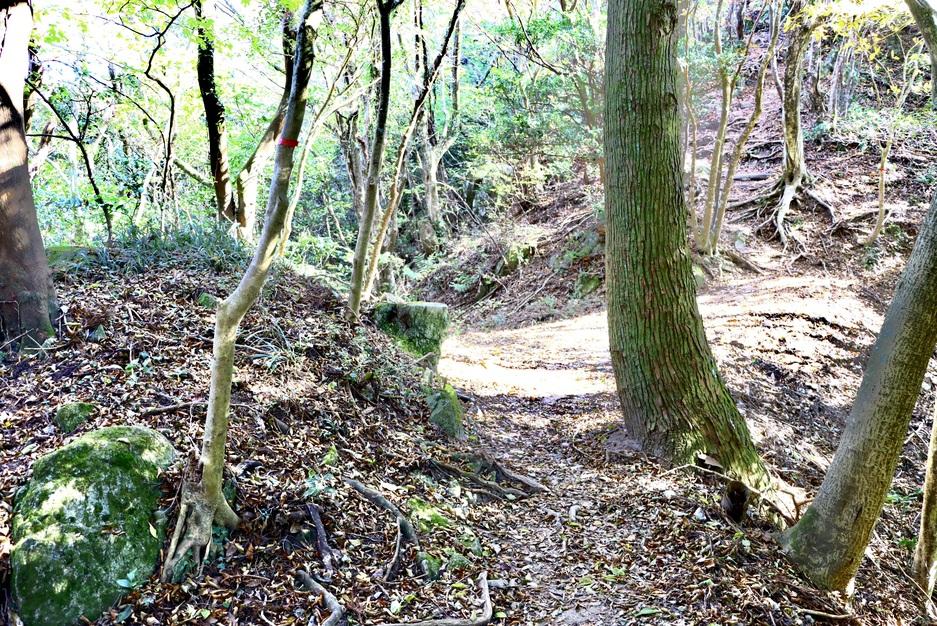 二丈岳城
