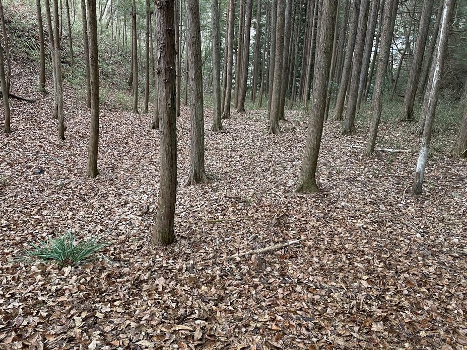 奥牧野城