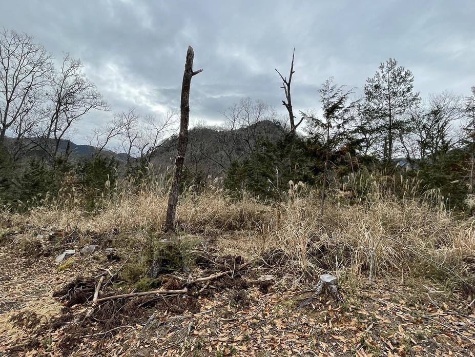 奥牧野城