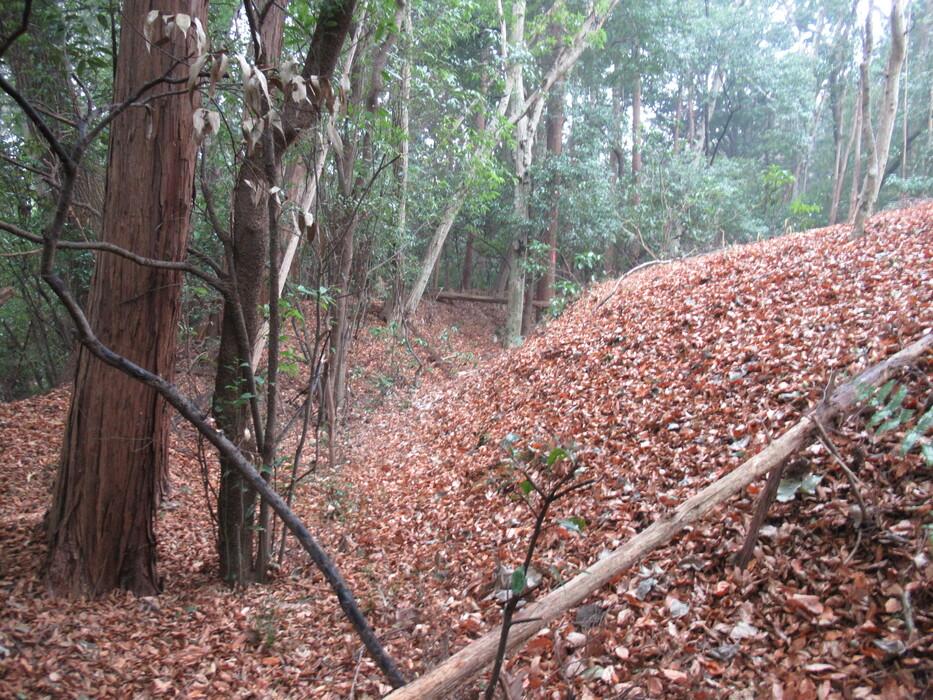 箕輪城